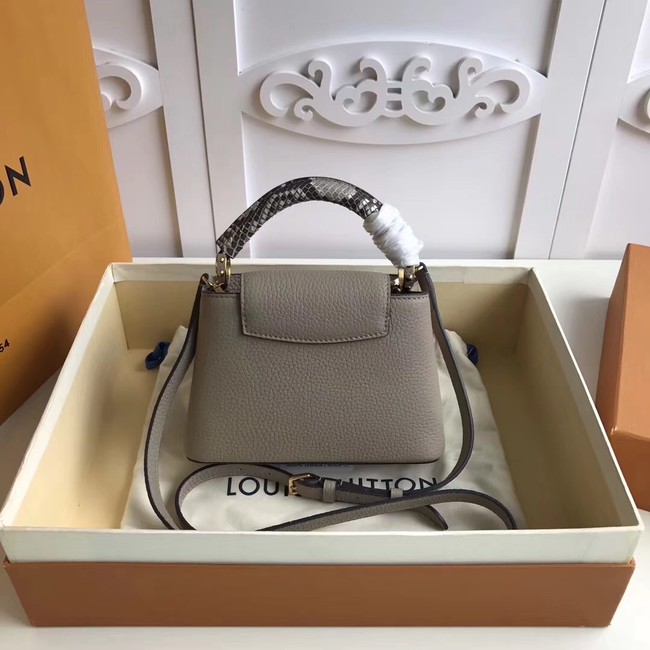 Louis vuitton original CAPUCINES MINI N94047 grey