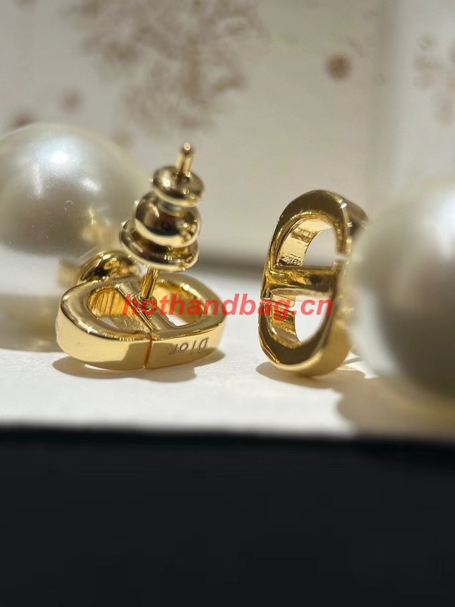 Dior Earrings CE9869