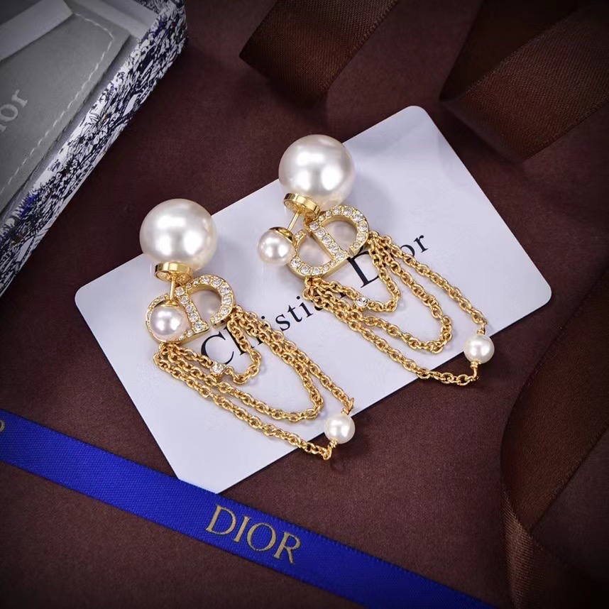 Dior Earrings CE13192