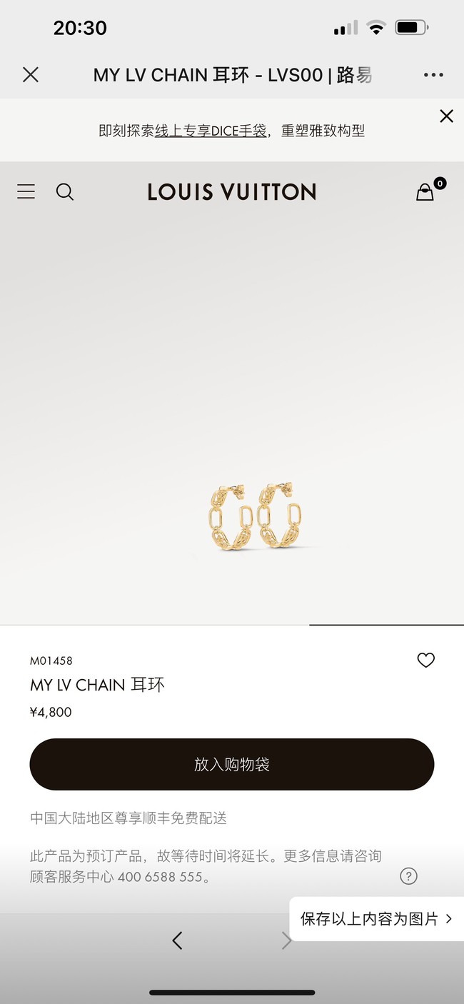 Louis Vuitton Earrings CE13819