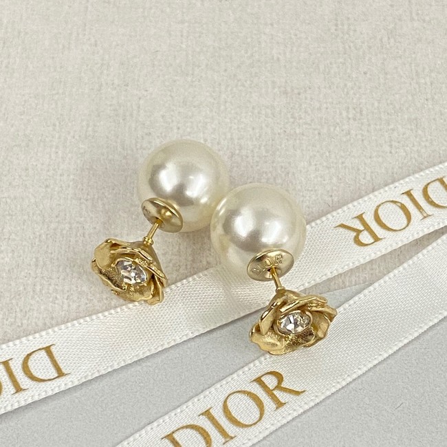 Dior Earrings CE14361