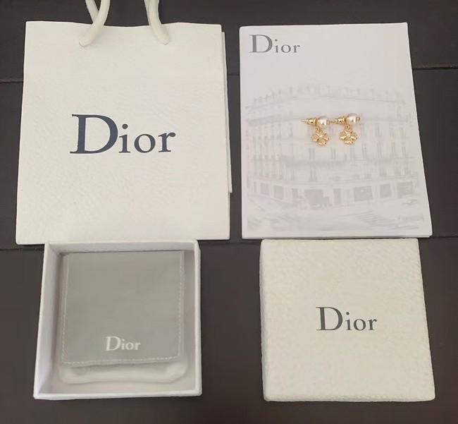 Dior Earring CE16527