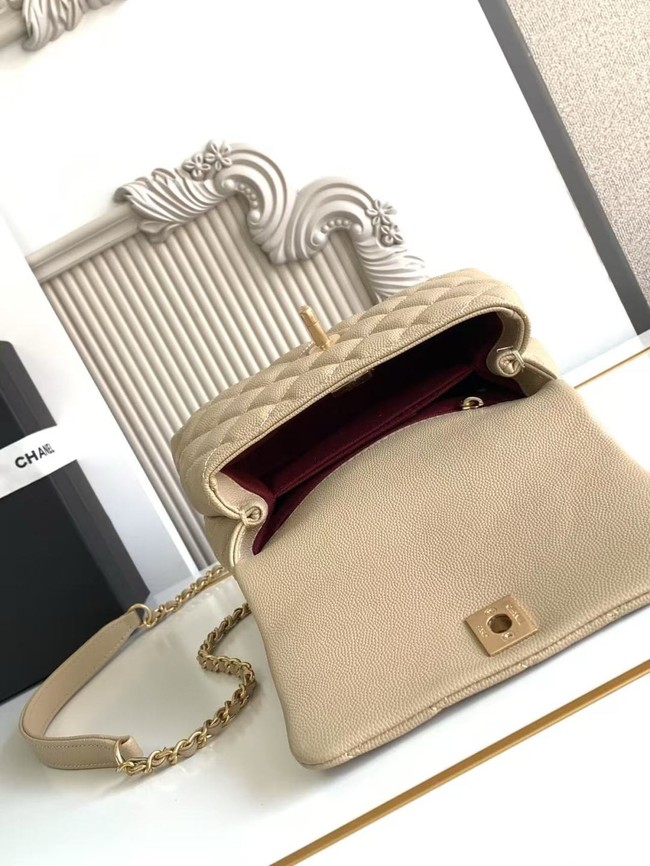 Chanel MINI FLAP BAG WITH TOP HANDLE AS2215-3