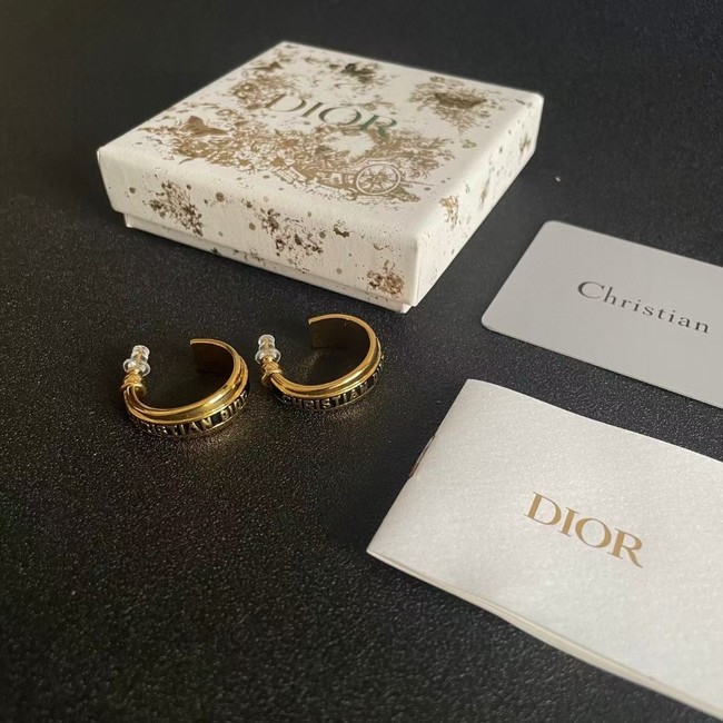 Dior Earring CE16543