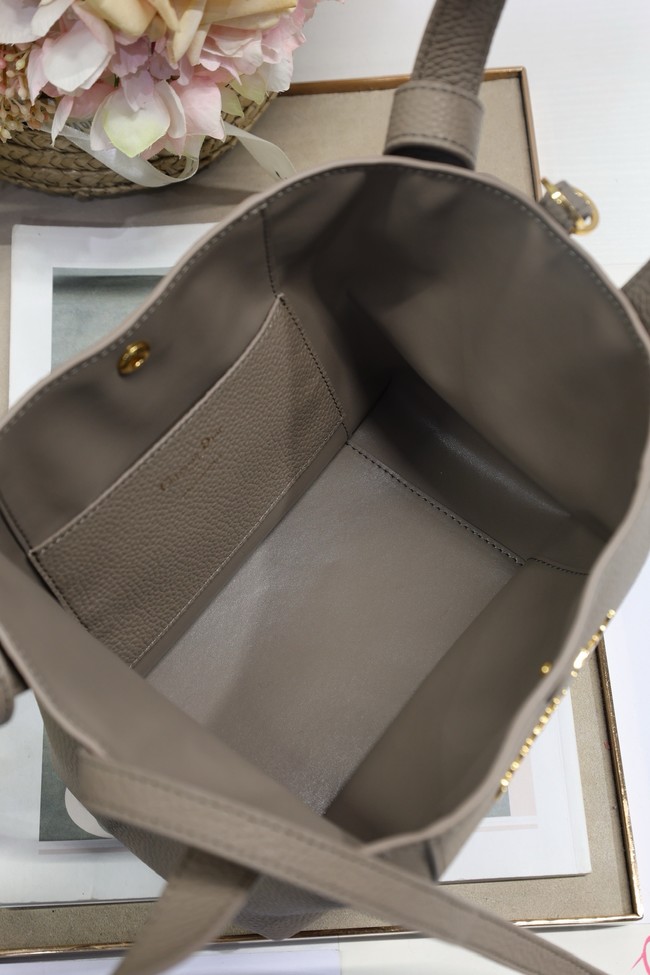 Dior Medium Signature Bucket Bag Grained Calfskin M2841USKU gray