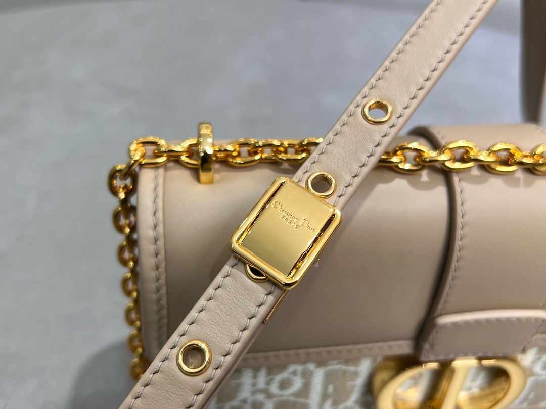 Dior Oblique Jacquard and Natural Smooth Calfskin 30 Montaigne East-West Bag with Chain M9334UDDS