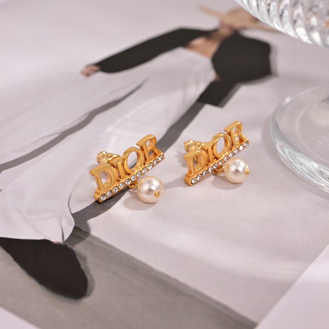 Dior Earring CE16573