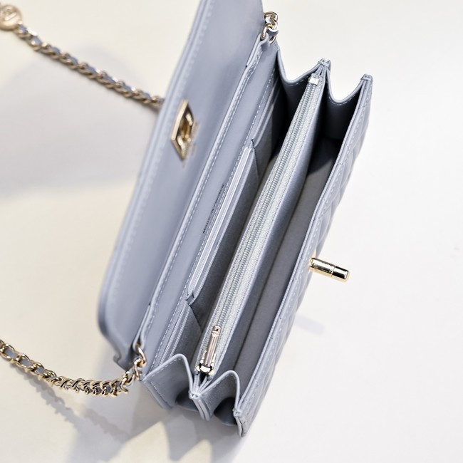 Chanel WALLET ON CHAIN AP4300 gray