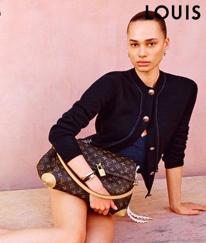 Louis Vuitton NEW Hide Away MM M14473