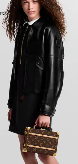 Louis Vuitton Handle Trunk Monogram M11118