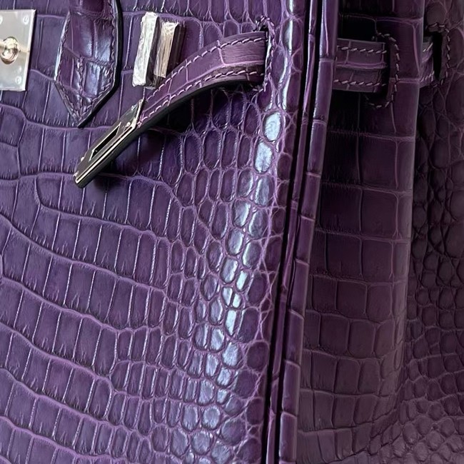 Hermes Birkin Nile crocodile leather 7765-1