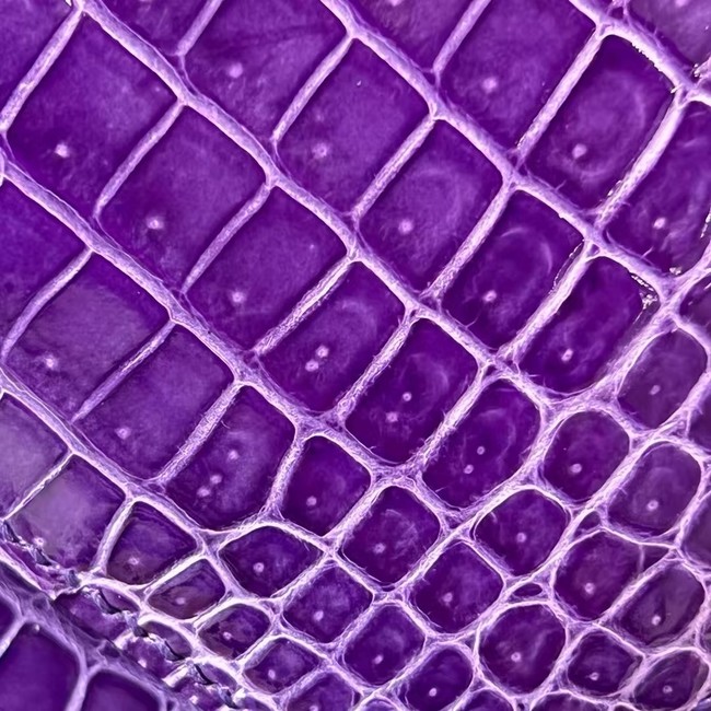 Hermes Constance Bag Nile crocodile leather 2701 Purple