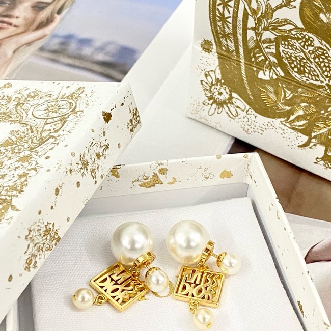 Dior Earring CE16979