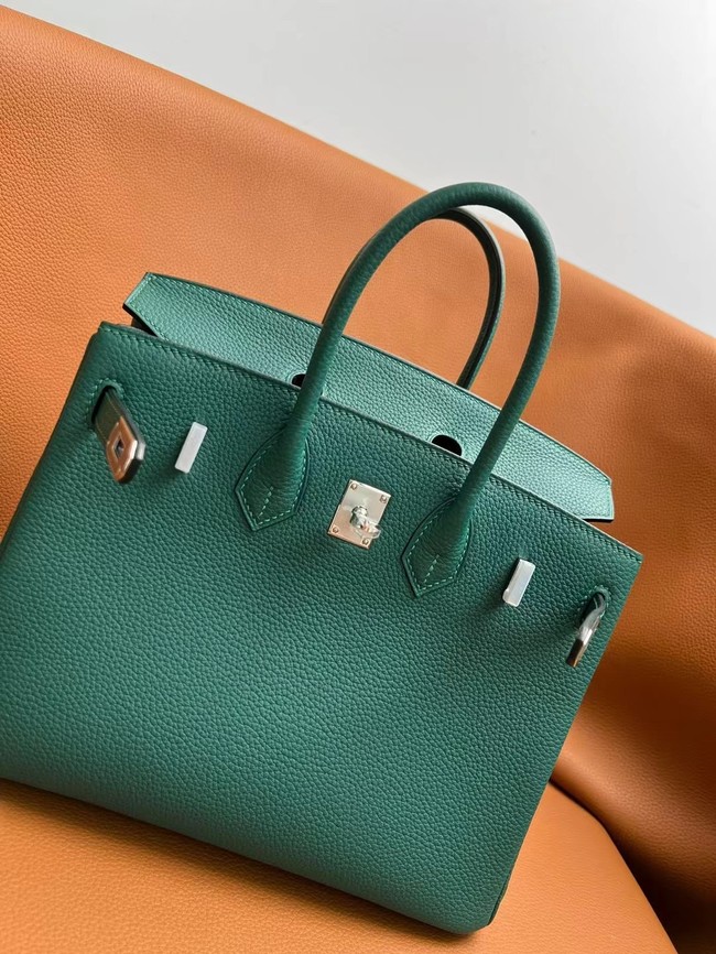 Hermes Birkin Bag togo Leather 5570-17