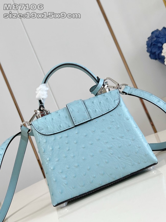 Louis Vuitton small Grained Calfskin M84713 light blue
