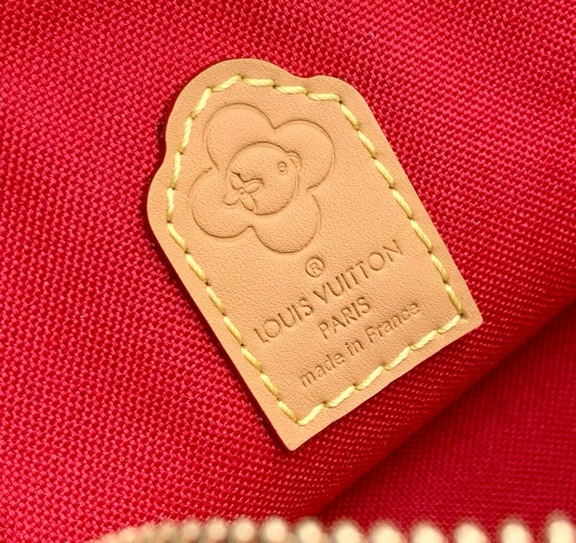 Louis Vuitton CUSTOMIZABLE Alma nano M12199 