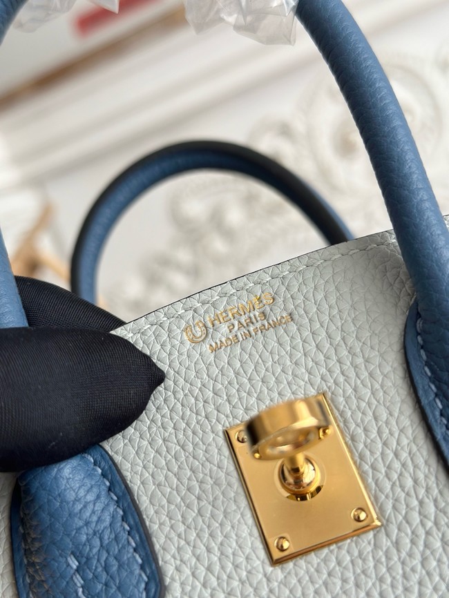 Hermes Birkin Bag togo Leather 2835-1