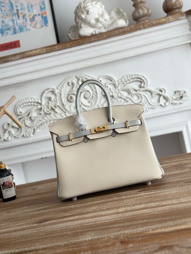 Hermes Birkin Bag togo Leather 2835-4