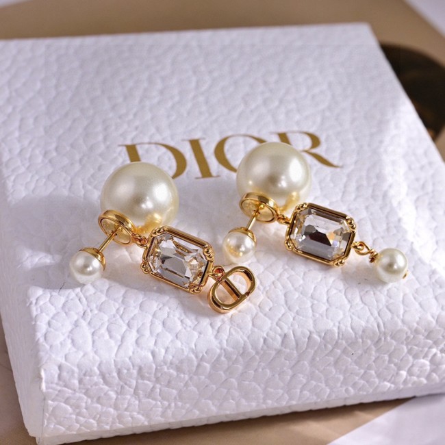 Dior Earring CE81000