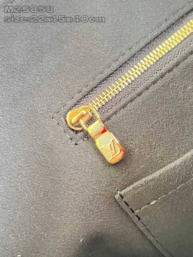 Louis Vuitton NEW All In One PM M25858 black