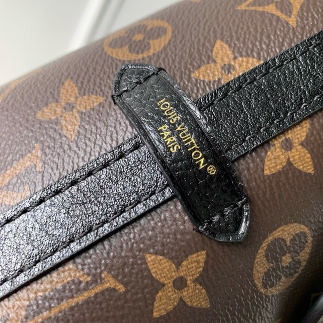 Louis Vuitton Monogram Canvas M26568 brown