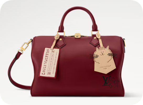 Louis Vuitton Speedy Soft 30 M25766 Plum