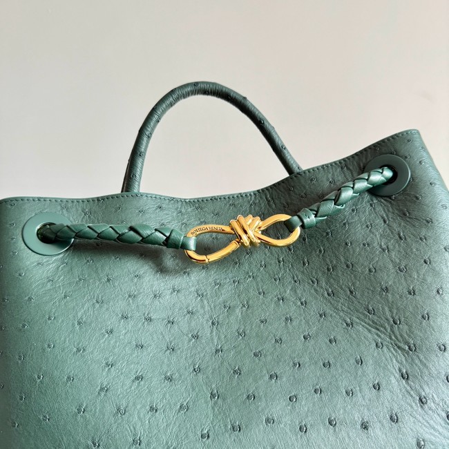 Bottega Veneta Andiamo 766016 Jungle