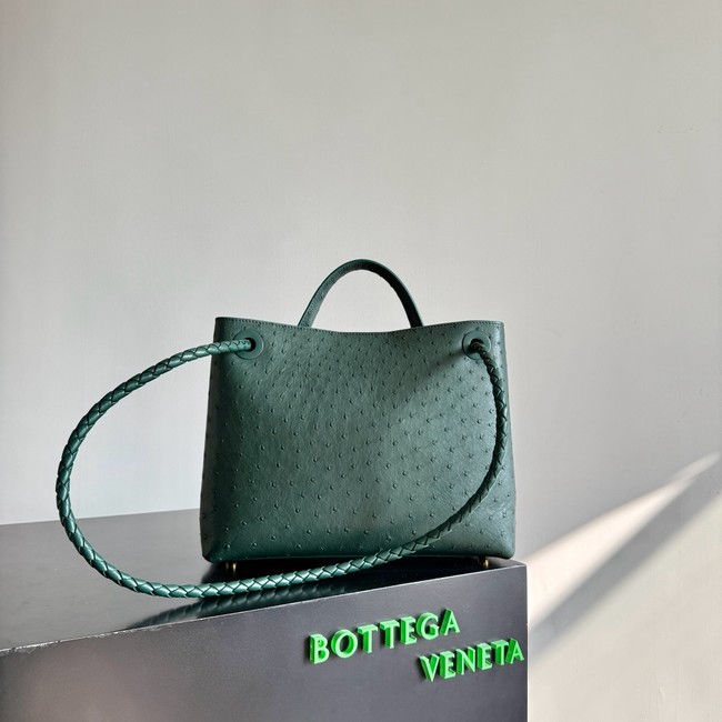 Bottega Veneta Andiamo 766016 Jungle
