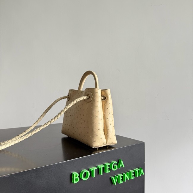 Bottega Veneta Mini Andiamo Sapele 805232 Brass finish