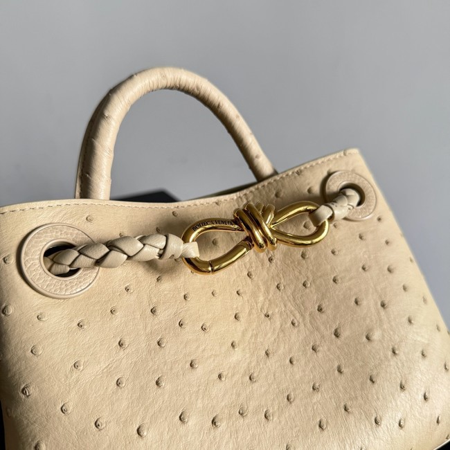 Bottega Veneta Mini Andiamo Sapele 805232 Brass finish