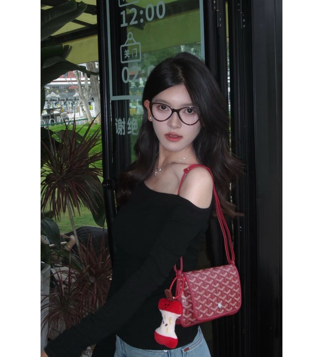 Goyard PLUMET crossbody bag TY43 red