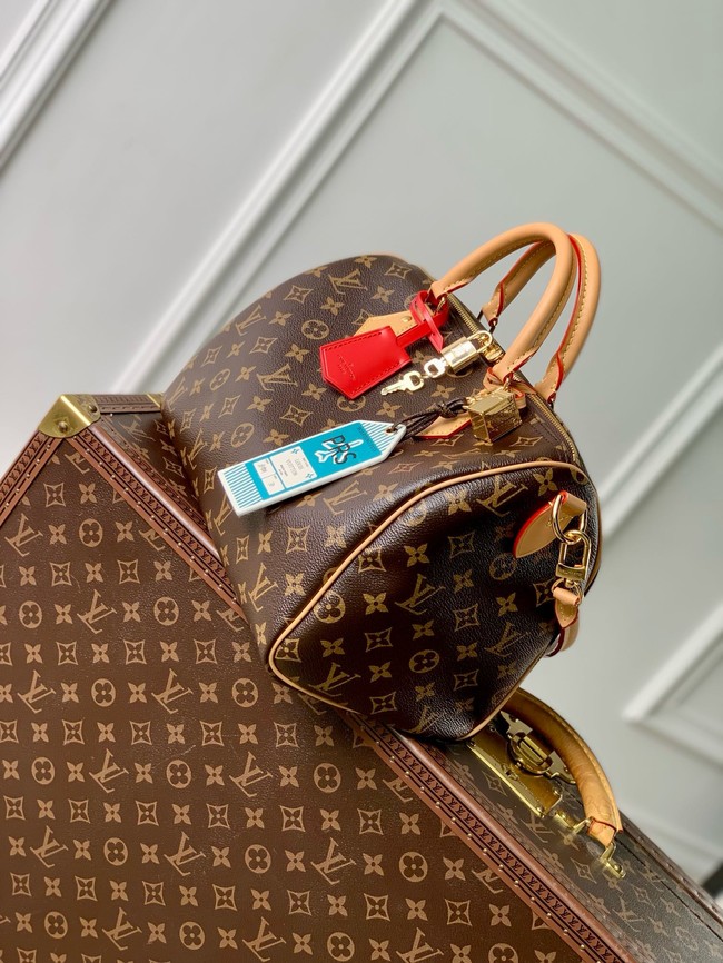 Louis Vuitton Speedy Soft 30 Crafty M11945