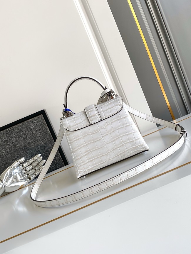 Louis Vuitton Calfskin M84713 light gray