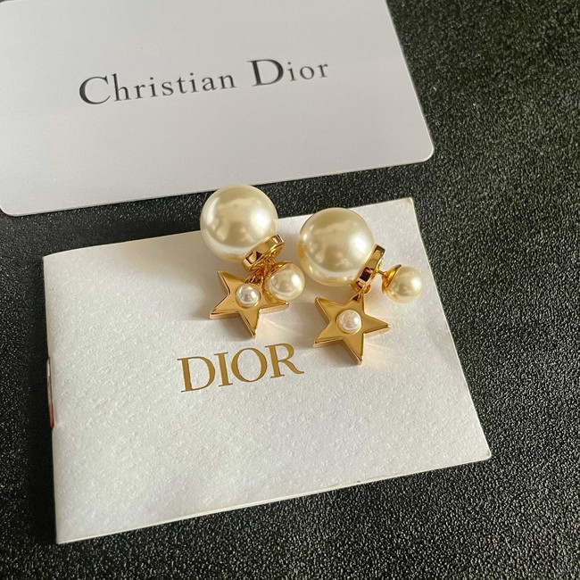 Dior Earring CE81957