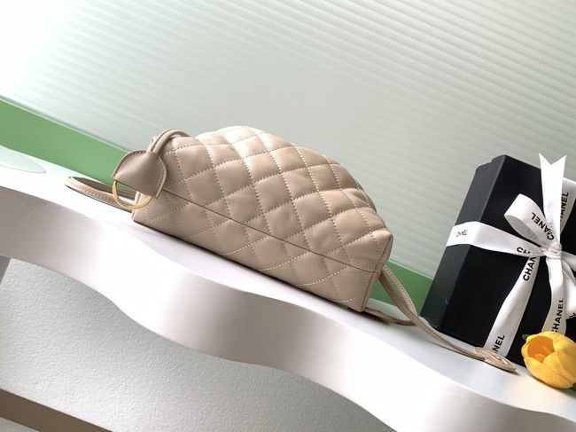 Chanel Lambskin Hobo Bag AS5227 apricot