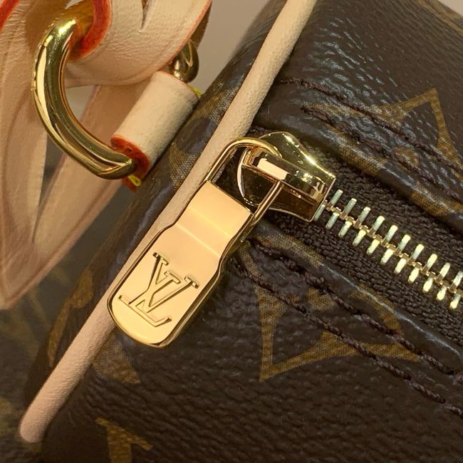 Louis Vuitton Pochette Papillon M25703