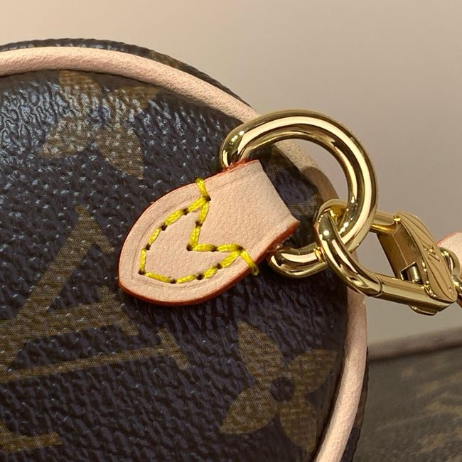 Louis Vuitton Pochette Papillon M25703