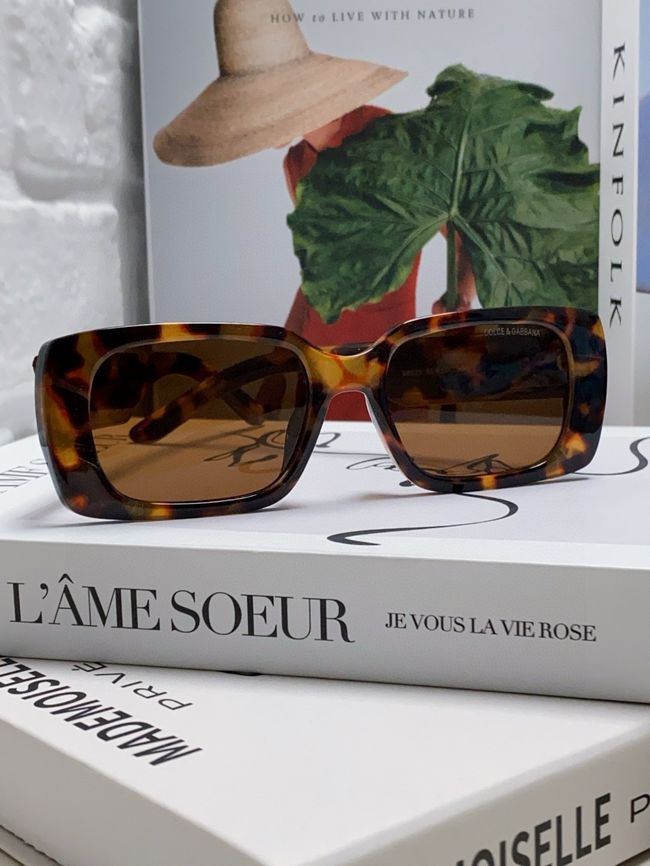Dolce & Gabbana Sunglasses 821451-1