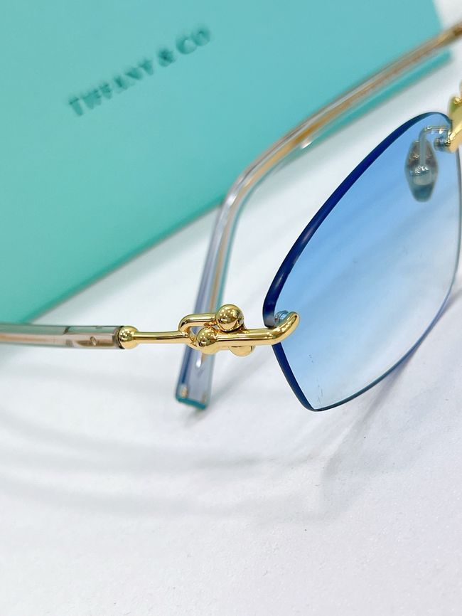 Tiffany Sunglasses 821502-5