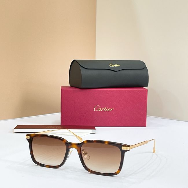 Cartier Sunglasses 821513-6