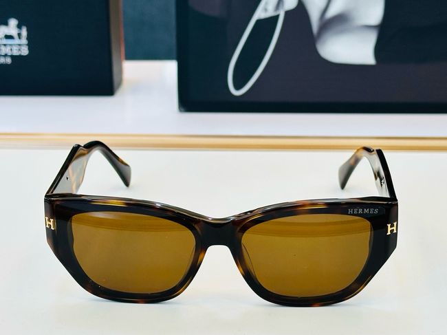 Hermes Sunglasses 821518-4