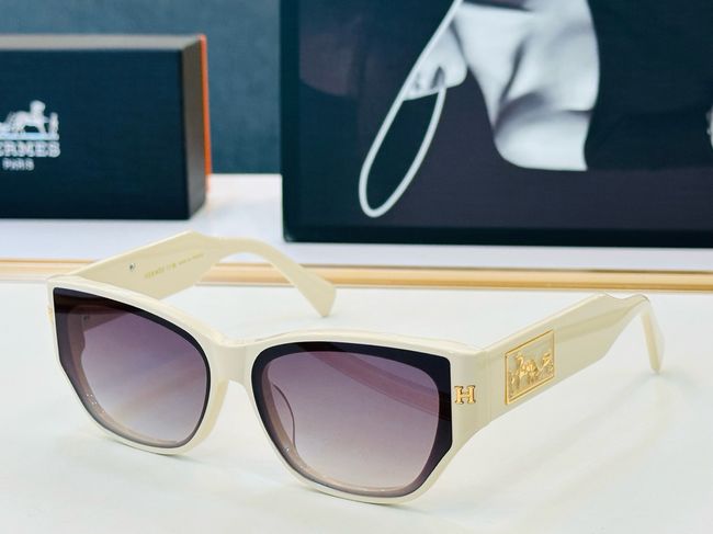 Hermes Sunglasses 821518-5