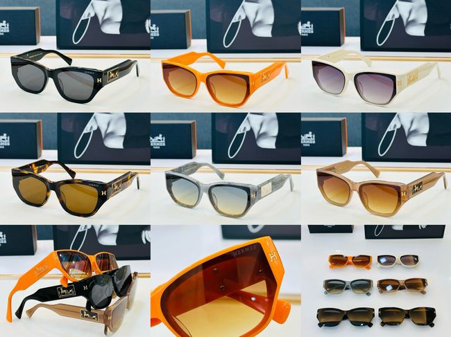 Hermes Sunglasses 821518-6