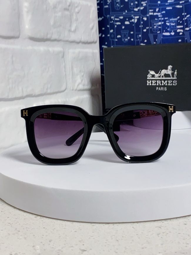 Hermes Sunglasses 821519-3