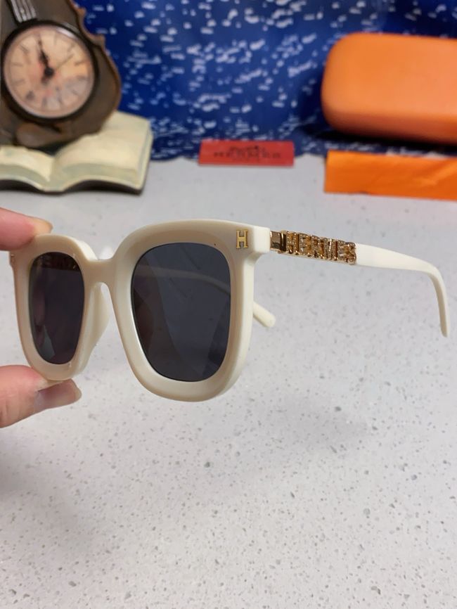 Hermes Sunglasses 821519-5