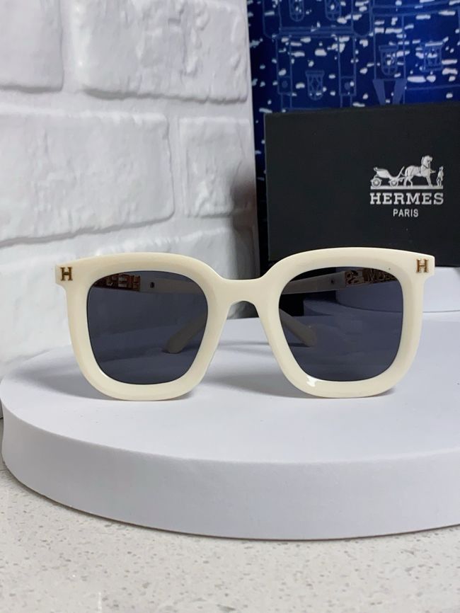 Hermes Sunglasses 821519-5