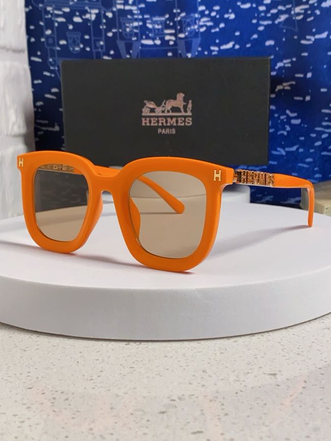 Hermes Sunglasses 821519-6