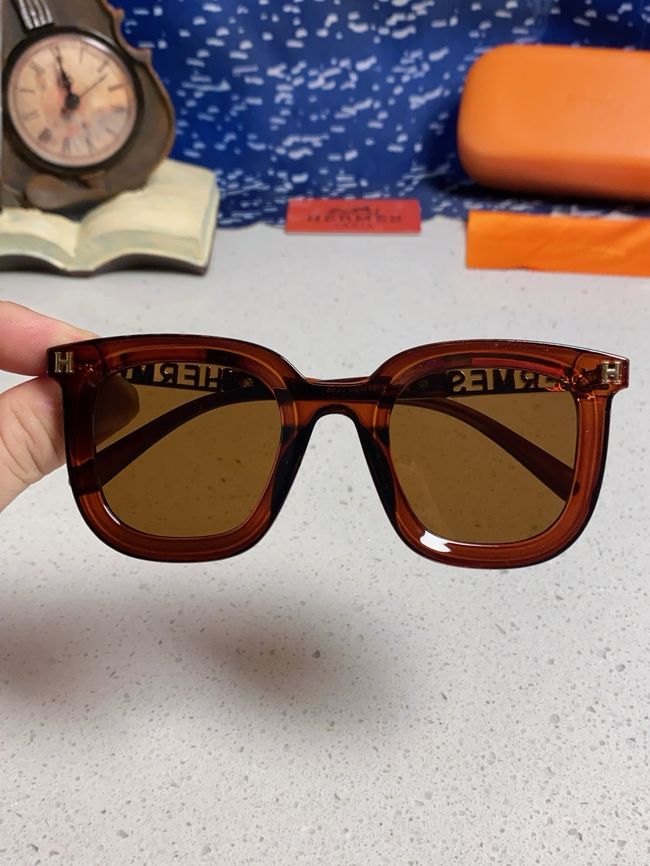 Hermes Sunglasses 821519-7