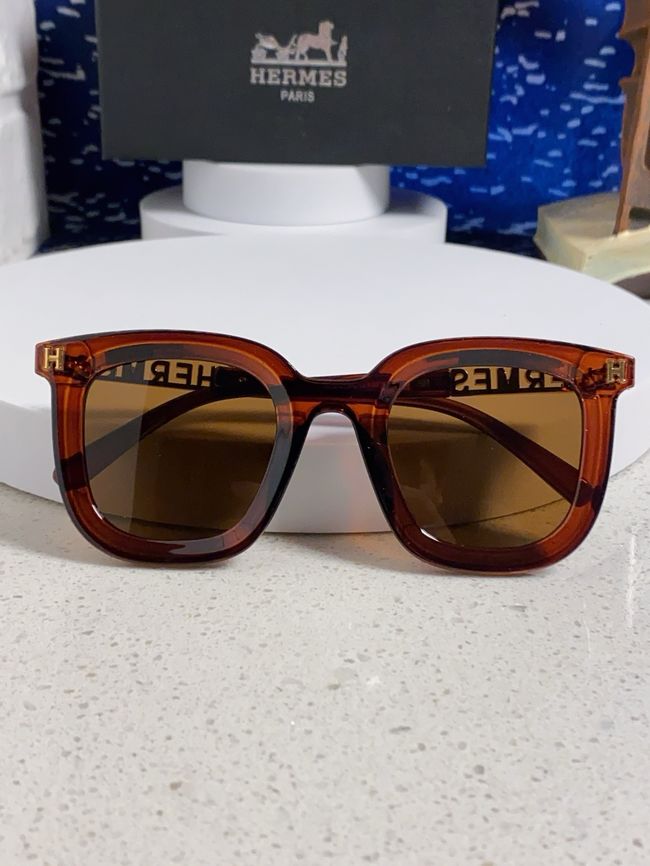 Hermes Sunglasses 821519-7