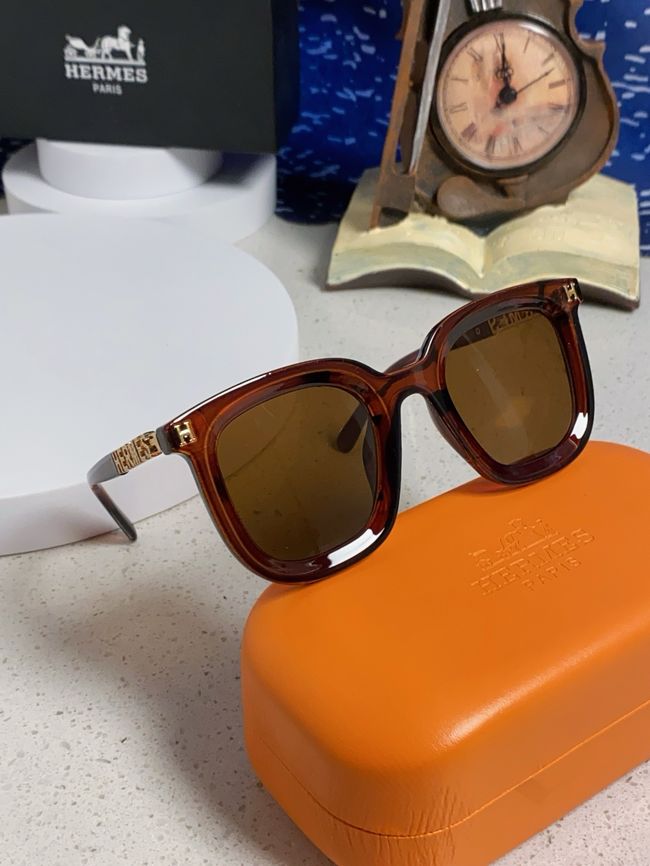 Hermes Sunglasses 821519-7